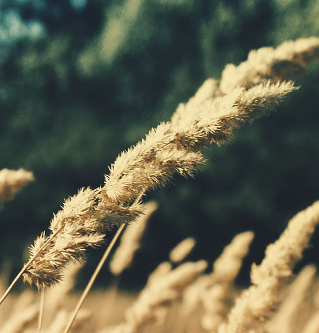 攻击网站在线工具